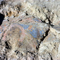 Fragments of mural painting TS 1800 during excavation (MNAOR 3497 - CS 4235)