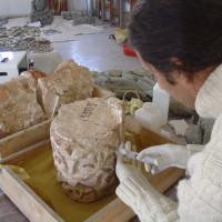 D. Marletto at the Kabul National Museum, 2005 ©IsIAO archives Ghazni/Tapa Sardar Project 2014