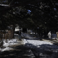 Garden of the mausoleum of Mahmud in Rawza, 2013 ©IsIAO archives Ghazni/Tapa Sardar Project 2014